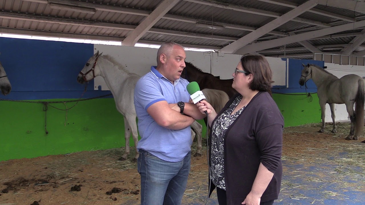 Entrevista A Agust N Men Ndez Presidente De Eqtineo El Campo De Asturias