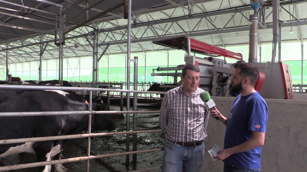 Entrevista A Jos Ram N Feito Alcalde De Tineo El Campo De Asturias