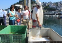 La nueva fábrica de hielo de Luarca producirá 15 toneladas diarias