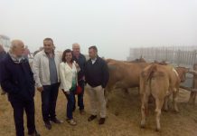 41.200 euros para el cierre del monte de utilidad pública La Bobia, en Villanueva de Oscos