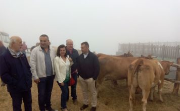 41.200 euros para el cierre del monte de utilidad pública La Bobia, en Villanueva de Oscos