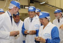 La industria agroalimentaria como palanca del desarrollo económico de la región