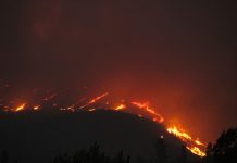 Inmediatez y eficacia, claves para el despliegue de medios de extinción de incendios forestales