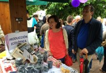 I Festival del Arándano y frutos rojos en Villaviciosa