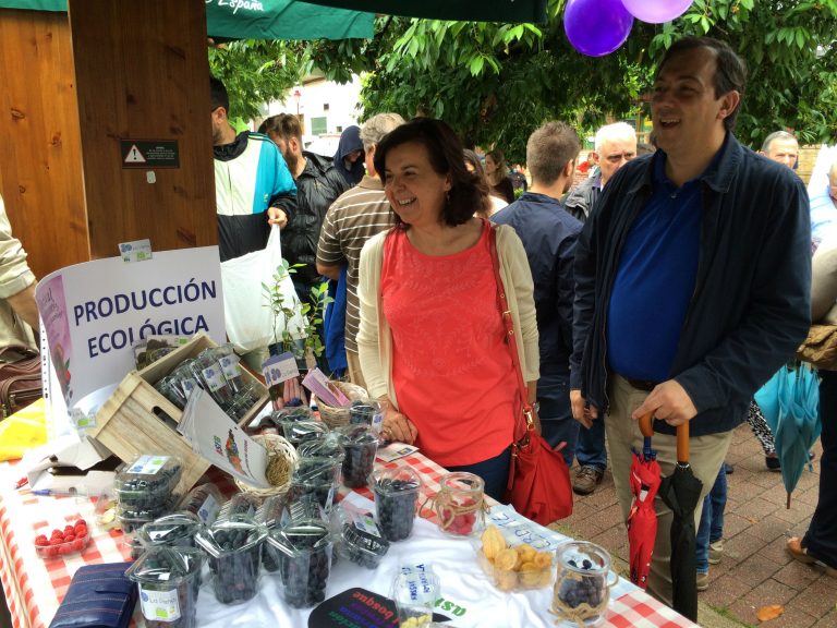 I Festival del Arándano y frutos rojos en Villaviciosa