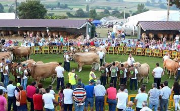 Concurso ganadero y feria ecológica se dan la mano en Llanera