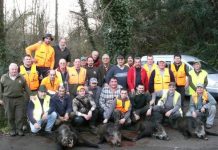 José Carlos Cuervo: “En función a los daños registrados, esta temporada tendremos más jabalís que la pasada”