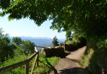 El Camino Primitivo por el concejo de Tineo