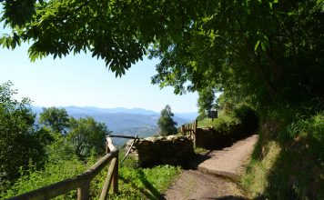 El Camino Primitivo por el concejo de Tineo