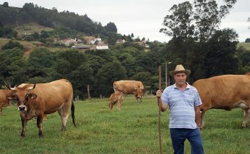 Manuel Ángel Iglesias: “Nuestra explotación destaca por la genética, tenemos cuatro generaciones de vacas”