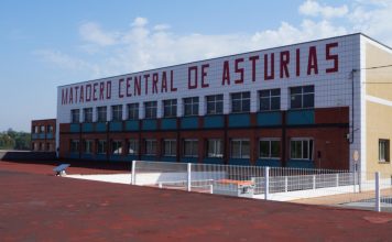 Cristina Sánchez: “Posicionaremos al Matadero Central de Asturias como cuando funcionaba a pleno rendimiento”