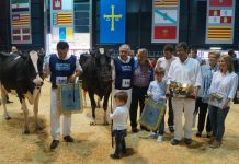 Ganadería Badiola se consagra en Agropec