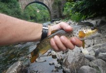 Pablo Osendi: “La pesca es una cuestión individual, este coto ofrece las dos opciones, con muerte o sin muerte”
