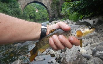 Pablo Osendi: “La pesca es una cuestión individual, este coto ofrece las dos opciones, con muerte o sin muerte”