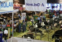 Agropec, la cita del medio rural asturiano