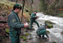 El SEPRONA, un servicio en defensa del medio rural