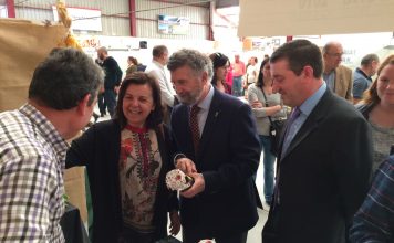Feria de la miel en Boal