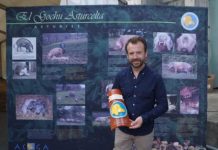 Nacho Manzano: “El gochu asturcelta se posiciona a niveles altos de calidad”