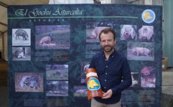 Nacho Manzano: “El gochu asturcelta se posiciona a niveles altos de calidad”