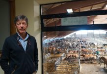 José Luis Díaz, Mercado Nacional de Ganados de La Pola Siero: “Este año las cifras del Mercado repuntan”