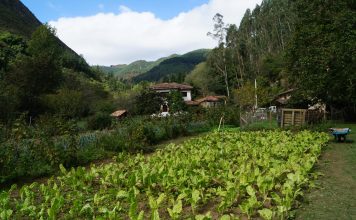Javier González, presidente del COPAE: “El 80% de la población consumiría productos ecológicos aún teniendo que pagar más por ellos”