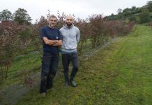 Pepe y Carlos Alba: “El valor añadido del arándano está en los transformados”