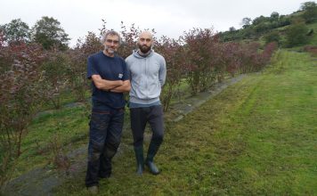 Pepe y Carlos Alba: “El valor añadido del arándano está en los transformados”
