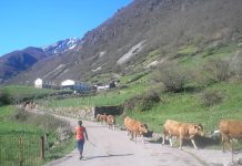 Obras de mejora para los cinco parques naturales de Asturias