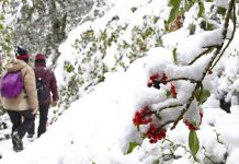 “Muniellos es un emblema de la protección ya no en Asturias, sino en la Península Ibérica”