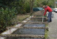 Piscifactoria ‘Truchas del Pigüeña’ vende trucha de calidad