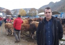 David Moreno, alcalde de Aller: “Aller cuenta con una cabaña ganadera de gran calidad