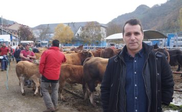 David Moreno, alcalde de Aller: “Aller cuenta con una cabaña ganadera de gran calidad