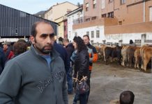 David de Miguel, ganadero: “El ganado siempre se vende mejor en la feria que en casa”