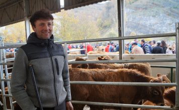 Andrés García, miembro de la Junta Ganadera de Aller: “Los precios se han mantenido estables y las transacciones han marchado bien”