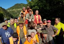 Sociedad de Cazadores de Belmonte: “Este año recortamos cuatro cacerías por cuadrilla, había poco jabalí”