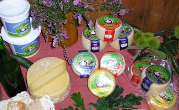 Ganadería-Quesería Bedón: “La elaboración de nuestro queso pasó de generación en generación”