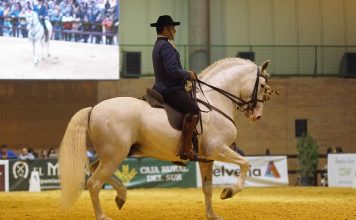 El Campo de Asturias presente en la 26 edición del Salón Internacional del Caballo 2016