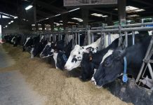 Abierta la campaña para solicitar ayudas directas de la PAC para 2017