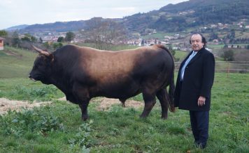 La Mesada, pasión por ganadería