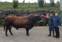 “Una ganadería es una empresa, siempre debe buscar la rentabilidad”