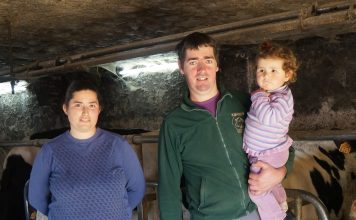 Ganadería El Potral S.C. (Perlleces): “Proyectamos a corto plazo hacer una nave y comprar el robot”