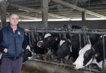 Ganadería Casa Pacho (Valdés): “En cuanto a precio de la leche, los socios de Central Lechera somos unos privilegiados”