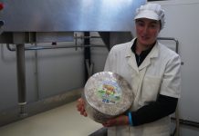 Quesería Priedamu (Igena): “La cueva aporta al Gamonéu del Valle suavidad y mejor sabor”