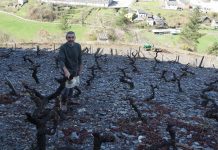 David Barrero, viticultor: “La margen derecha del río Ibias es la mejor zona de viñas”