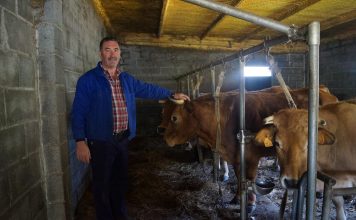 Ganadería Molina (Marentes): “Siempre me gustaron más las viñas que las vacas”