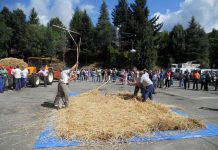 Teófilo Flórez: “La Mallega rememora el proceso desde la recogida del cereal hasta la elaboración del pan”