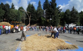 Teófilo Flórez: “La Mallega rememora el proceso desde la recogida del cereal hasta la elaboración del pan”