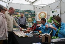 Salas celebró Asturpesa y Capenastur con éxito de afluencia