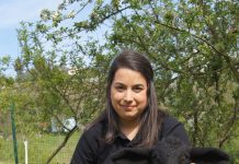 “Llanera acogerá el 14 de mayo la primera cita del Campeonato Nacional de Suffolk”