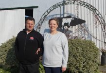 “Nuestras vacas de concurso son de las más rentables de la ganadería”